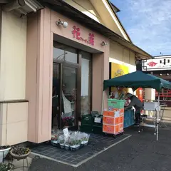 ファーチェ