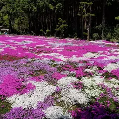 志田フラワー園