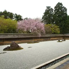 京都 龍安寺