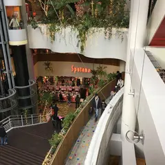 Spotaka 棒壘球用品