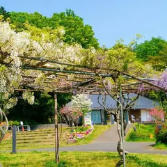 堀之内寺沢里山公園
