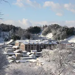 大七酒造（株）