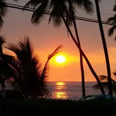 キパパ・パーク