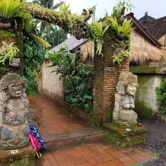 rice terrace