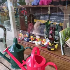COTSWOLDS吉祥寺店