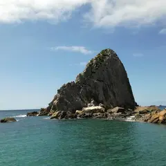 とるぱ 226 後浜展望所