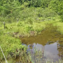 山室湿原