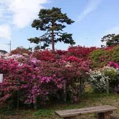 つつじが岡公園駐車場