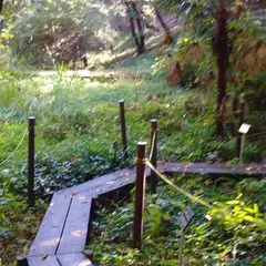 東京薬科大学 薬用植物園