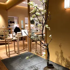 KOTOSHINA
