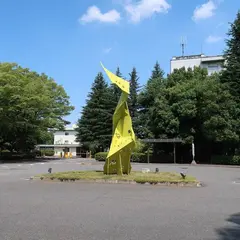 埼玉大学