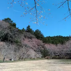 芦野御殿山