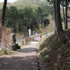 金尾山つつじ公園