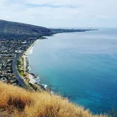 Westside Pillboxes