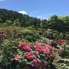 花と泉の公園