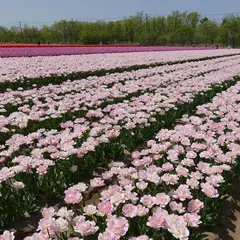 長池憩いの森公園