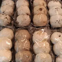 黒将軍老面饅頭