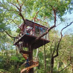 Treeful treehouse ツリーフルツリーハウス