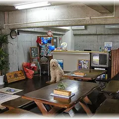 沖縄ダイビング 那覇シーマリン