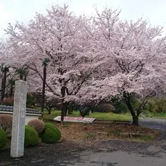 清雲寺