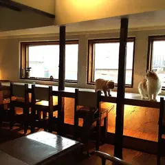 猫カフェ 美猫