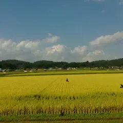 （株）蔵王とうふ