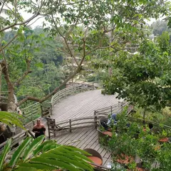 Bali Pulina