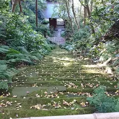 妙法寺 苔の石段