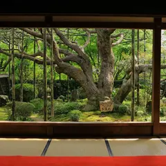 宝泉院