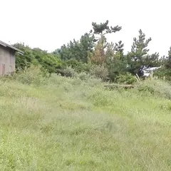 天の原キャンプ場