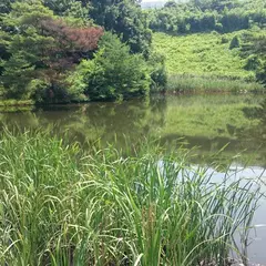 緑ヶ丘公園