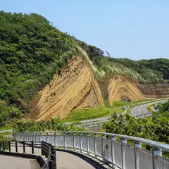 伊豆大島レンタカー