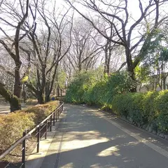 小平市立中央公園