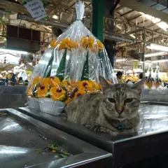 パクローン花市場
