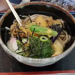 杉の子(Sugi no ko)