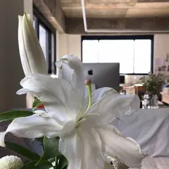 Water Drop Sonata (워터드롭소나타)