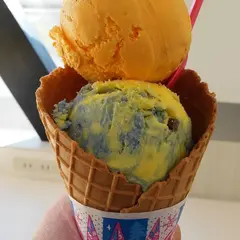 サーティワンアイスクリーム 女池店