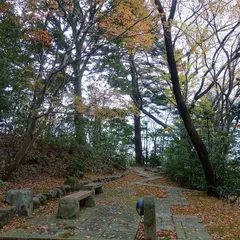 山野草園