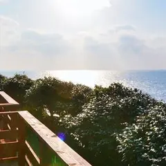 海椿葉山
