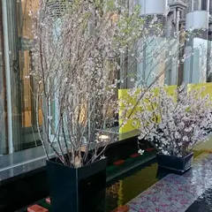 中野坂上