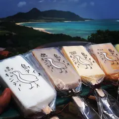 ぱいぬしま氷菓 タマトゥリー商店