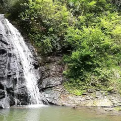幻の滝 (養老渓谷 小沢又の滝)