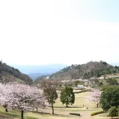 徳島県立 神山森林公園 イルローザの森