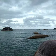 ナトゥナ諸島