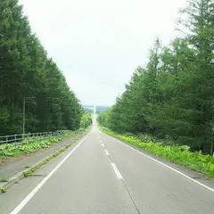 北19号