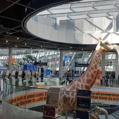 デュッセルドルフ国際空港