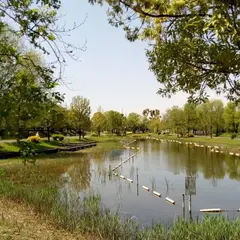 水元公園 第四駐車場