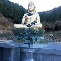 高富