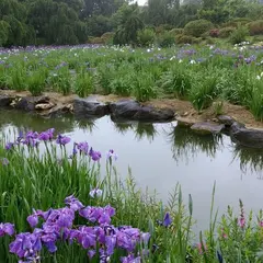 四季の里郡山緑水苑
