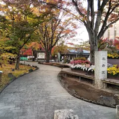 三島市立公園 楽寿園